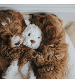 Игрушка MY DOG для собак Мишка-шуршалка с кармашком 38 см