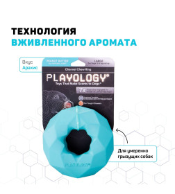 Жевательное кольцо-многогранник Playology CHANNEL CHEW RING для собак средних и крупных пород с ароматом арахиса, цвет голубой