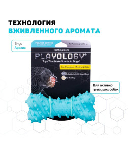 Дентальная жевательная косточка Playology PUPPY TEETHING BONE для щенков 4-8 месяцев с ароматом арахиса, цвет голубой