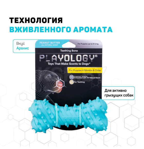 Дентальная жевательная косточка Playology PUPPY TEETHING BONE для щенков 4-8 месяцев с ароматом арахиса, цвет голубой (P33362) 