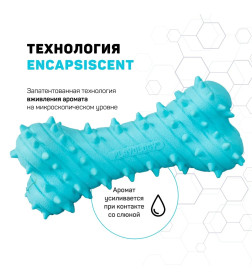 Дентальная жевательная косточка Playology PUPPY TEETHING BONE для щенков 4-8 месяцев с ароматом арахиса, цвет голубой