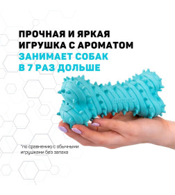 Дентальная жевательная косточка Playology PUPPY TEETHING BONE для щенков 4-8 месяцев с ароматом арахиса, цвет голубой