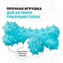 Дентальная жевательная косточка Playology PUPPY TEETHING BONE для щенков 4-8 месяцев с ароматом арахиса, цвет голубой (P33362) 