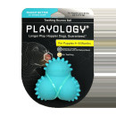 Дентальный жевательный тройной мяч Playology  SQUEAKY BOUNCE BALL для щенков 4-8 месяцев с ароматом арахиса, цвет голубой (P33365) 
