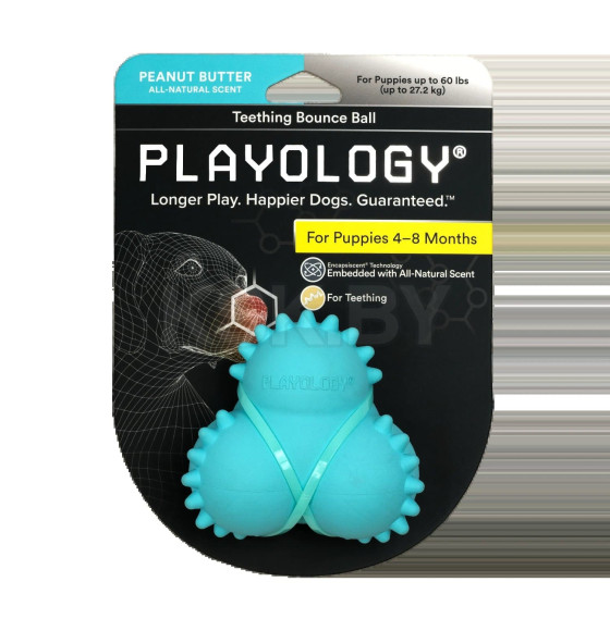 Дентальный жевательный тройной мяч Playology  SQUEAKY BOUNCE BALL для щенков 4-8 месяцев с ароматом арахиса, цвет голубой (P33365) 