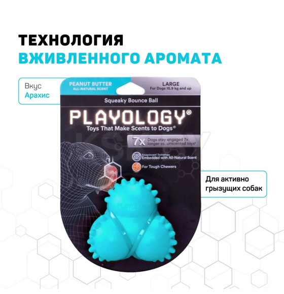 Дентальный жевательный тройной мяч Playology  SQUEAKY BOUNCE BALL для щенков 4-8 месяцев с ароматом арахиса, цвет голубой (P33365) 