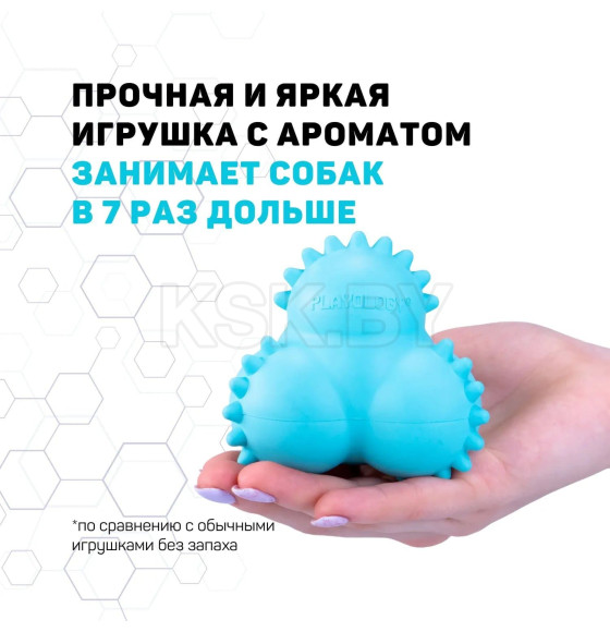 Дентальный жевательный тройной мяч Playology  SQUEAKY BOUNCE BALL для щенков 4-8 месяцев с ароматом арахиса, цвет голубой (P33365) 