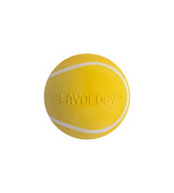 Жевательный мяч Playology SQUEAKY CHEW BALL 8 см для собак средних и крупных пород с пищалкой и с ароматом курицы, цвет желтый