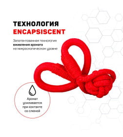 Жевательный канат Playology TOUGH TUG KNOT для щенков 4-8 месяцев с ароматом говядины, цвет красный