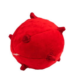Сенсорный плюшевый мяч Playology PUPPY SENSORY BALL 15 см для щенков средних и крупных пород 8-16 недель с ароматом говядины, цвет