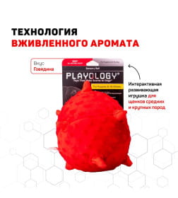 Сенсорный плюшевый мяч Playology PUPPY SENSORY BALL 15 см для щенков средних и крупных пород 8-16 недель с ароматом говядины, цвет