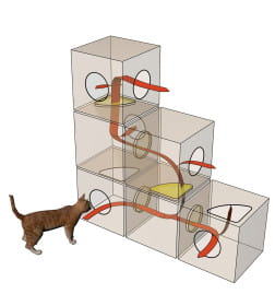 Домик для кошек BAMA PET QUBLO 35x35x35h см, бежевый
