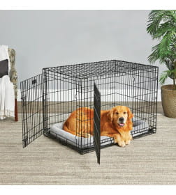 Клетка MidWest Life Stages для собак 109х73х77h см, 2 двери, черная