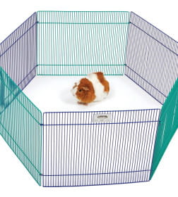 Вольер MidWest Critterville, для собак для грызунов, 6 панелей 48х38h см, цветной