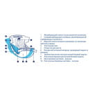 Подгузники LUXSAN Premium для животных L 8-14 кг, 12 шт (LSN750410) 