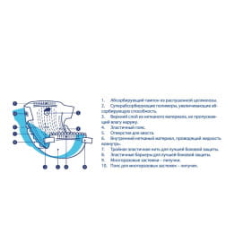 Подгузники LUXSAN Premium для животных L 8-14 кг, 12 шт