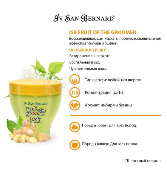 Восстанавливающая маска с противовоспалительным эффекто ISB Fruit of the Groomer Ginger&Elderberyм 250 мл (NMASZE250) 