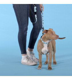 Поводок United Pets для собак Complete me Writing 120 см, 25 мм, голубой с рисунком