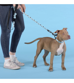 Поводок United Pets для собак Complete me Writing 120 см, 25 мм, голубой с рисунком