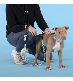 Поводок United Pets для собак Complete me Writing 120 см, 25 мм, голубой с рисунком