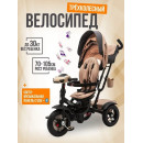 Велосипед 3-х кол. ZIGZAG PREMIUM 12
