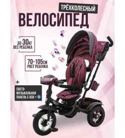 Велосипед 3-х кол. ZIGZAG PREMIUM 12"/10" T420-8 Бордовый