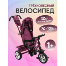 Велосипед 3-х колесный ZIGZAG CLASSIC 10
