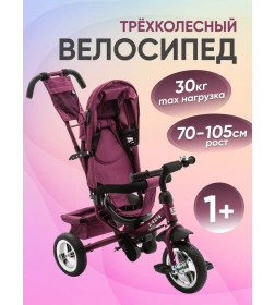 Велосипед 3-х колесный ZIGZAG CLASSIC 10"/8" 5588 Бордовый