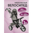 Велосипед 3-х колесный ZIGZAG CLASSIC 10
