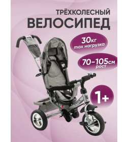 Велосипед 3-х колесный ZIGZAG CLASSIC 10"/8" 5588 Серый