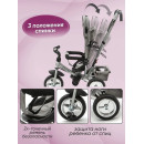 Велосипед 3-х колесный ZIGZAG CLASSIC 10