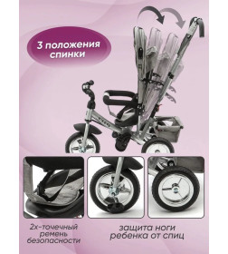 Велосипед 3-х колесный ZIGZAG CLASSIC 10"/8" 5588 Серый