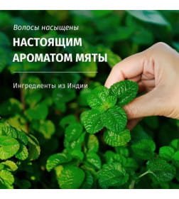 Бальзам-ополаскиватель HERBAL ESSENCES Аромат мяты, 250мл
