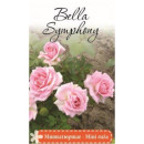 Роза Bella Simphony миниатюрная саженец в пакете ЗКС 