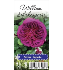Роза William Shakespeare английская саженец в пакете ЗКС "RI"