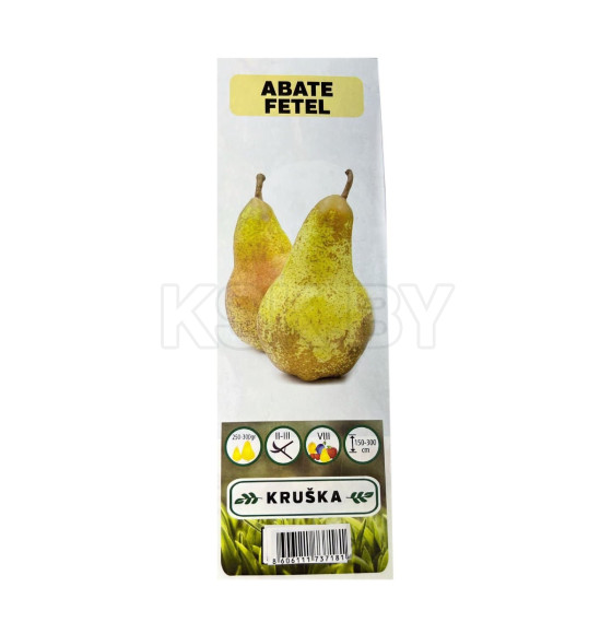Груша Abate Fetel  саженец ЗКС 