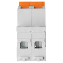 Выключатель нагрузки (мини-рубильник) ВН-32 2P 40A Home Use TDM SQ0211-0115 (SQ0211-0115) 