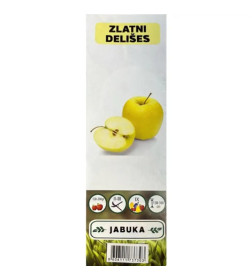 Яблоня Golden Delicious  саженец ЗКС  "RI"