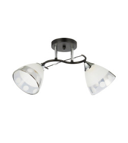 Cветильник WX-6116/2 BK+CR