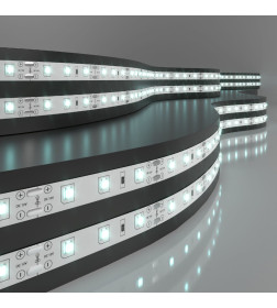 Набор светодиодной ленты 12V 4,8W 60Led 2835 IP20 холодный белый, 5м ES