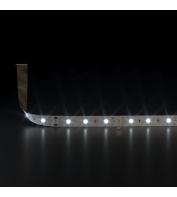 Набор светодиодной ленты 12V 4,8W 60Led 2835 IP20 дневной белый, 5м