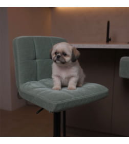 Стул барный LOGOS, темно-зеленый шенилл Ote Canna 352/черный