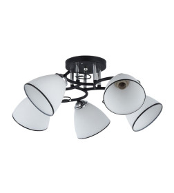 Светильник WX-10138/5 BK+CR