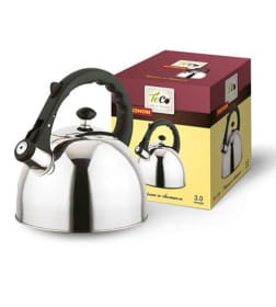 Чайник TECO (3,0л) TC-118