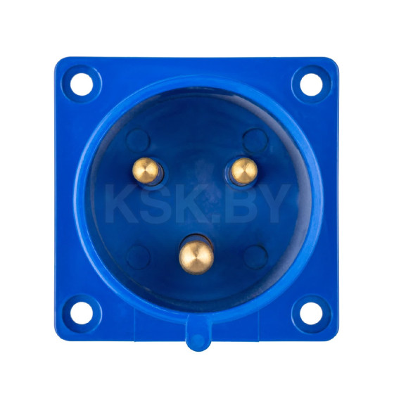 Вилка 623 скрытая 2Р+РЕ 32А 220В IP44 TDM SQ0607-0004 (SQ0607-0004) 