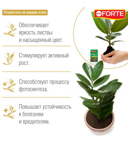 Удобрение концентрированное Bona Forte КРАСОТА для декоративно- лиственных 10 мл 