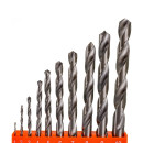 Набор сверел по металлу (10 шт.) Sturm! 1055-01-SS1 (1055-01-SS1) 
