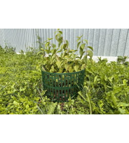 Защита деревьев ЗСД-01.20(25).37-ПП (в упк. 10 шт) 828116-З