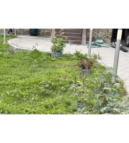 Защита деревьев ЗСД-01.20(25).37-ПП (в упк. 10 шт) 828116-С
