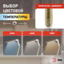 Настольный светильник ЭРА NLED-496-12W-G светодиодный на струбцине золото (Б0052769) 